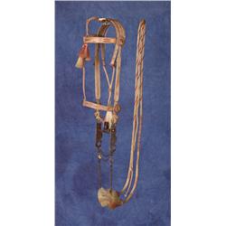 Deerlodge Horsehair Bridle