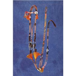 Yuma Arizona Prison Bridle