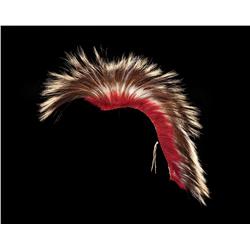 Northern Plains Hair Roach