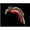 Image 1 : Northern Plains Hair Roach