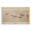 Image 5 : C. D. Kirkland, Cheyenne, Wyoming