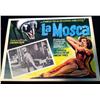 Image 2 : The Fly (1958) & Return of the Fly (1959) Lobby Cards and Bret Halsey Autograph