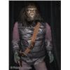 Image 2 : Planet of the Apes (1968) Life Size Ape Soldier