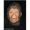 Image 1 : Planet of the Apes (1968) Ape Mask