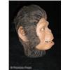 Image 2 : Planet of the Apes (1968) Ape Mask