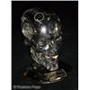 Image 1 : Terminator: The Sarah Conner Chronicles (2008-2009)  Autographed Endo Skull