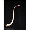 Image 1 : Hellboy (2004) Tail
