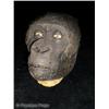 Image 1 : Congo (1995) Ape Head