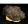 Image 2 : Congo (1995) Ape Head