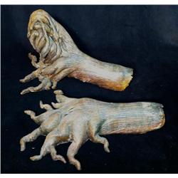 Nip/Tuck (2003-2010) Prosthetic Tree Hands