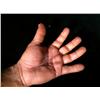 Image 3 : Nip/Tuck (2003-2010) Prosthetic Arm