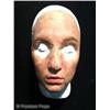 Image 1 : Nip/Tuck (2003-2010) Prosthetic Face Mask and Lifecast