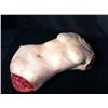 Image 3 : Nip/Tuck (2003-2010) Prosthetic Torso