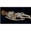 Image 1 : Nip/Tuck (2003-2010) Skeletal Remains