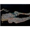 Image 5 : Nip/Tuck (2003-2010) Skeletal Remains