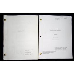 The Good Mother (1988) and Mariette in Ecstasy (1996) Screenplays
