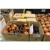 Image 1 : BOX OF POTTERY & BOX OF CRYSTALS