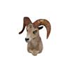 Image 1 : Big Horn Sheep Should Mount
