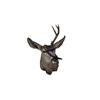 Image 1 : Buck Shoulder Mount, 12" Horns One antler damaged while in velvet.One antler damaged while in velvet