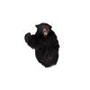 Image 1 : Black Bear Shoulder Mount In overall good condition, claws are intact, small loss to one ear.In over