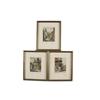 Image 1 : Collection of 3 Small Etchings All are hand colored, signed by Paul Sollmann, image sizes are 4"x5",
