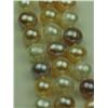 Image 3 : Ladies 3 Strand Freshwater Pearl Bracelet Multi-colored, averaging 7.50mm in diameter. Retail: $995.