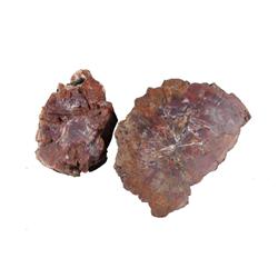 Lot of 2 Large Blocks of Petrified Wood