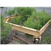 Image 1 : Tank Stand w/ Casters