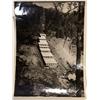 Image 1 : CA - Dedrick,Trinity County - c1914 - Dedrick, California Mill - Mueller Collection