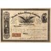 Image 1 : CO - 1868 - Brown Silver Mining Company