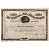 Image 1 : CO - Summit County,1881 - Montezuma Silver Mining Company Stock Certificate - Fenske Collection