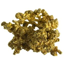 GA - Dahlonega,Georgia Gold Nugget ~ Large Miner's Nugget with Black Sand