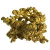 Image 1 : GA - Dahlonega,Georgia Gold Nugget ~ Large Miner's Nugget with Black Sand