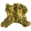 Image 1 : GA - Dahlonega,Georgia Gold Nugget ~ Medium