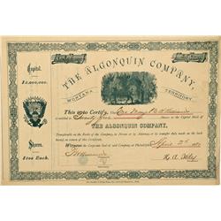 MT - Deer Creek Deer Creek,Deer Lodge County - 1880; 1881 - The Algonquin Company Stock Certificates