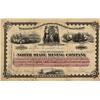 Image 1 : NC - Salisbury,Rowan County - May 2, 1881 - North State Mining Company Stock Certificate