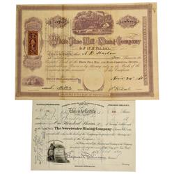 NV - Treasure Hill,White Pine County - 1868-1880 - Treasure Hill Stock Certificates - Clint Maish Co