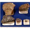 Image 1 : Gold, Miscellaneous Specimens