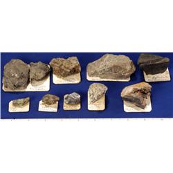 Tungsten Ore Specimens - Western States