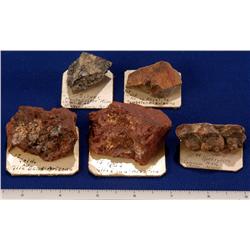 AZ - Gold, Platinum &  Silver Specimens - Arizona