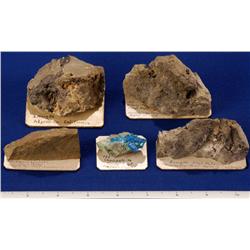 CA - Alpine & Amador Counties - Copper Specimens - California