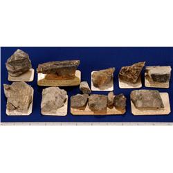CA - Grass Valley,Nevada County - Gold Specimens - Grass Valley, California