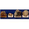 Image 1 : CA - Gold Specimens - Sierra Nevada, California