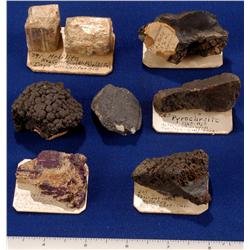 CA - Manganese Species - California