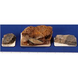 CA - Inyo County - Miscellaneous Mineral Specimens - California