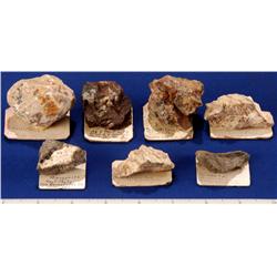 CA - Inyo/Mono County - Silver Specimens - California