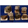 CO - Ouray,Ouray County - Gold and Silver Ore Specimens - Ouray, Colorado
