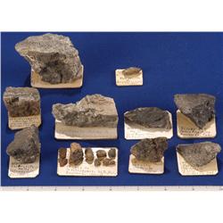 CO - Boulder,Boulder County - Gold and Silver, Rare Species - Boulder, Colorado