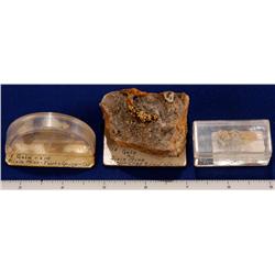 CO - Clear Creek,Clear Creek County - Gold Specimens - Clear Creek, Colorado