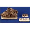 Image 1 : MI - Silver & Copper Specimens - Michigan
